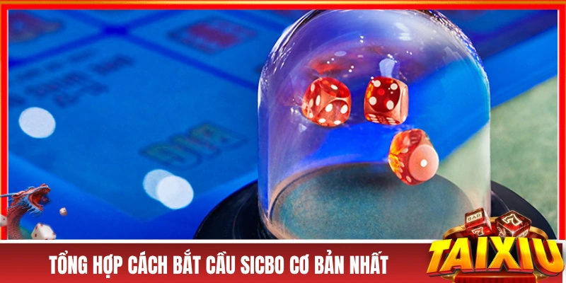 Tổng hợp cách bắt cầu Sicbo cơ bản nhất