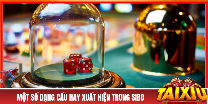 Một số dạng cầu hay xuất hiện trong Sibo