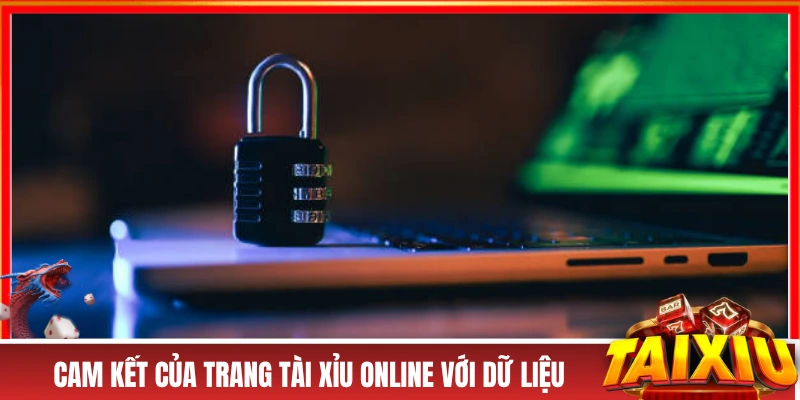 CHÍNH SÁCH BẢO MẬT Cam kết của trang tài xỉu online với dữ liệu