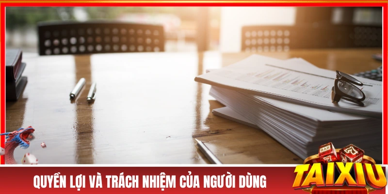 ĐIỀU KHOẢN SỬ DỤNG Quyền lợi và trách nhiệm của người dùng tại website