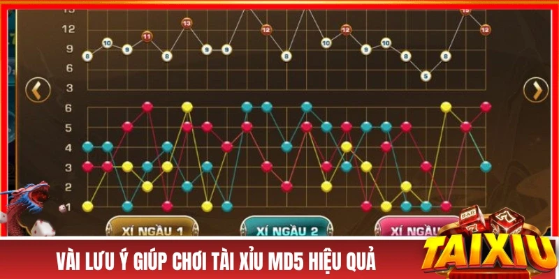 Vài lưu ý giúp chơi tài xỉu MD5 hiệu quả