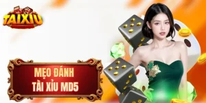 Mẹo Đánh Tài Xỉu MD5 Đã Được Đúc Kết Quan 1000+ Ván Chơi