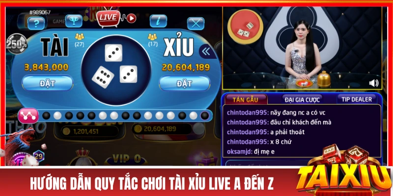Hướng dẫn quy tắc chơi tài xỉu live A đến Z