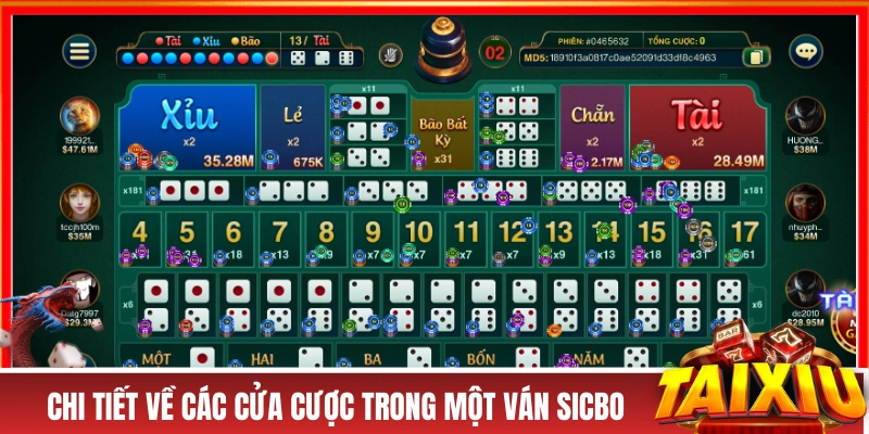 Tài Xỉu Sicbo - “Khô Máu” Với Nhiều Cửa Cược Thưởng Cao Chi tiết về các cửa cược trong một ván Sicbo