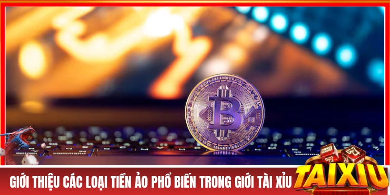 Giới thiệu các loại tiền ảo phổ biến trong giới tài xỉu