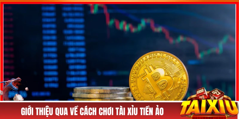 Giới thiệu qua về cách chơi tài xỉu tiền ảo